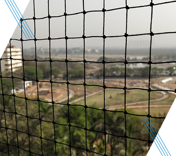 Bird Net Installation in Ahmedabad